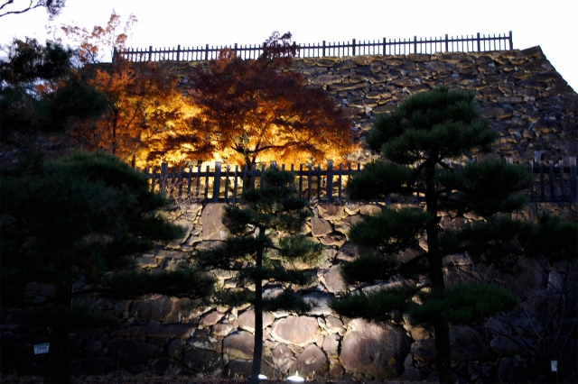 甲府城