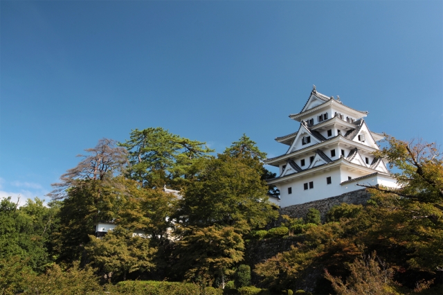 郡上八幡城