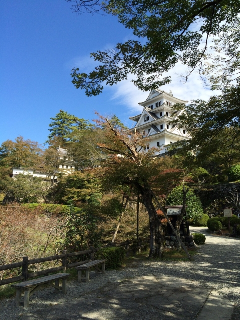 郡上八幡城