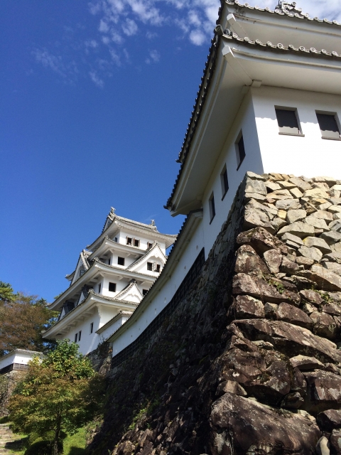 郡上八幡城