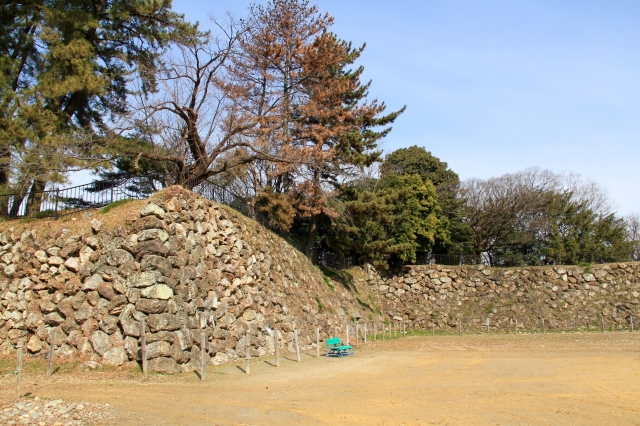 加納城