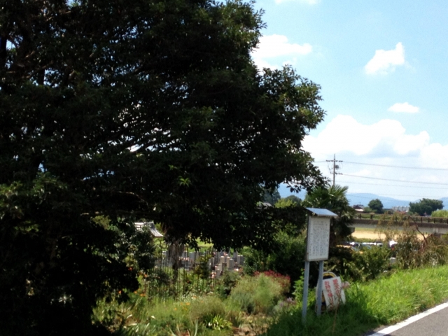 高桑城