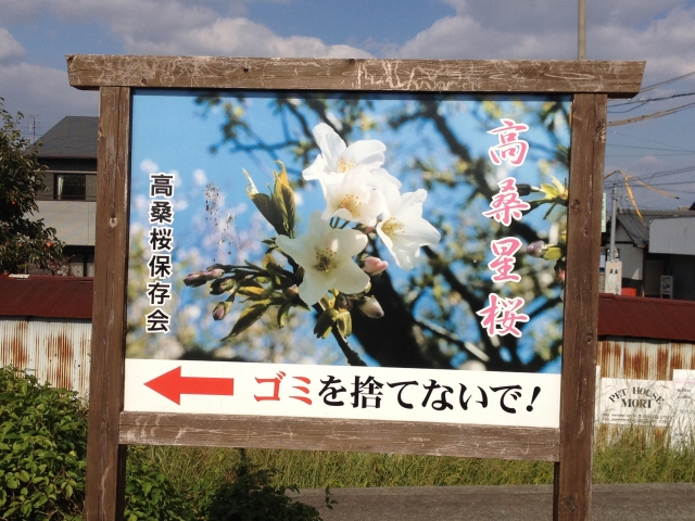 高桑城