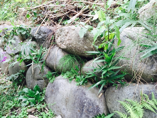 高桑城