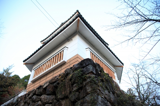 小倉山城 (美濃国)