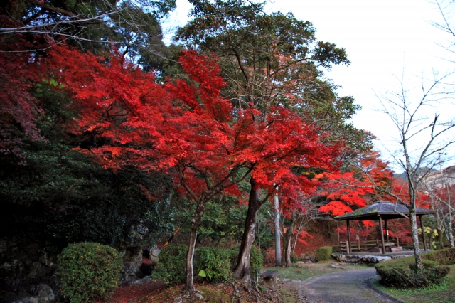 小倉山城 (美濃国)