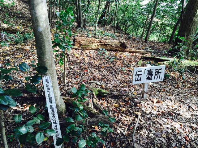 大桑城