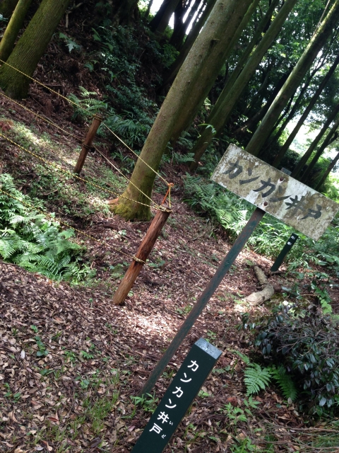 諏訪原城（静岡県）