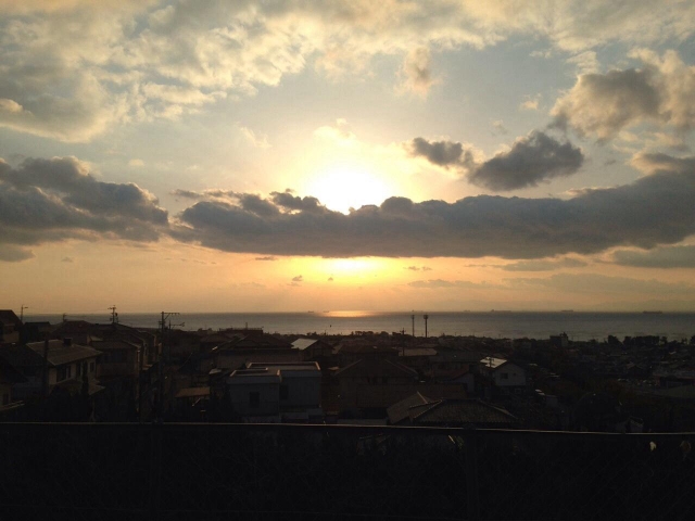大野城 (尾張国知多郡)