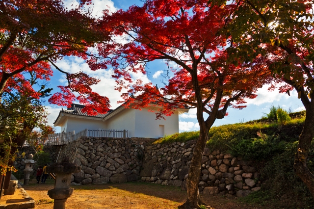 亀山城 (伊勢国)