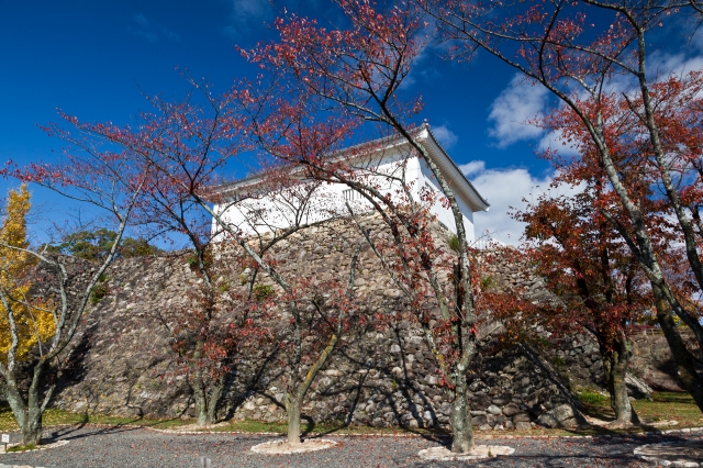 亀山城 (伊勢国)
