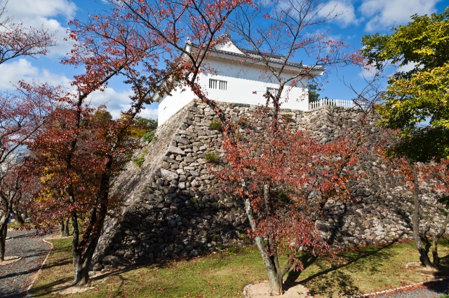 亀山城 (伊勢国)