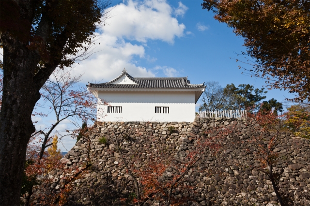亀山城 (伊勢国)
