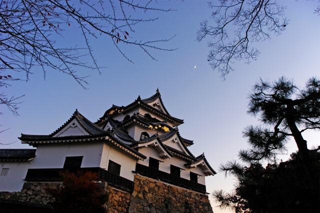彦根城