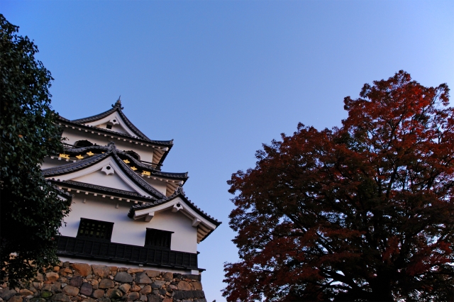 彦根城