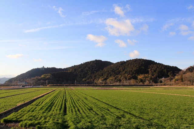 安土城