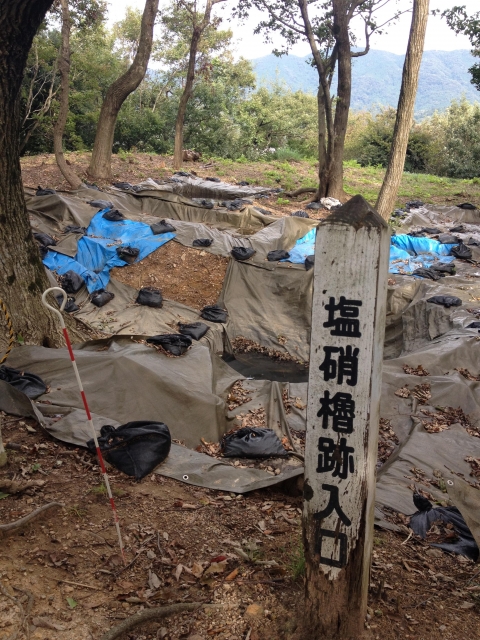 佐和山城
