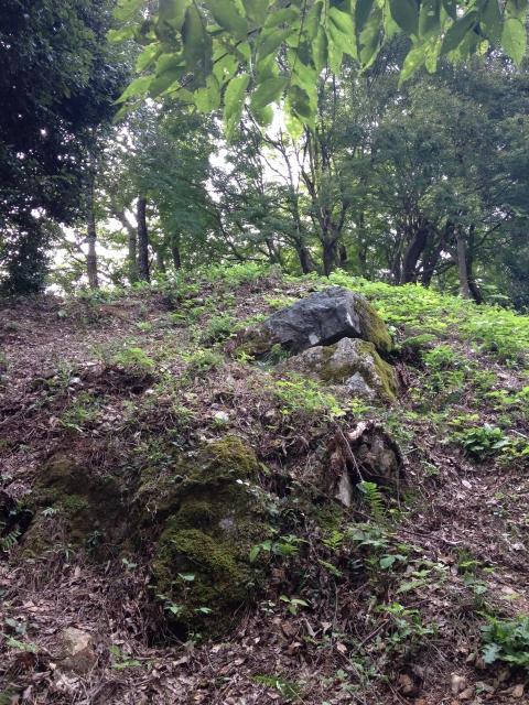 佐和山城