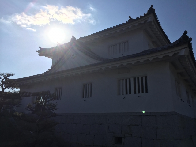 水口城