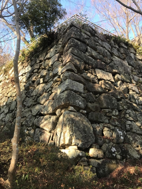 八幡山城