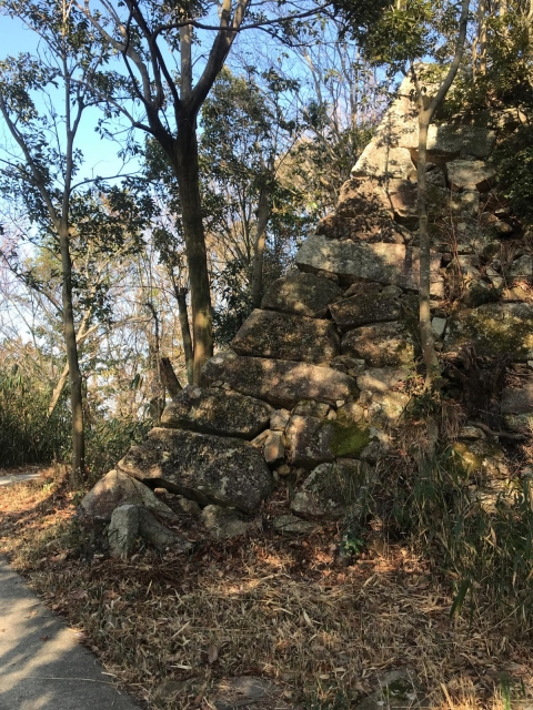 八幡山城