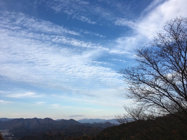 置塩城