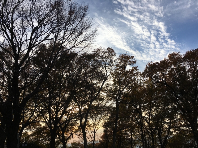 置塩城