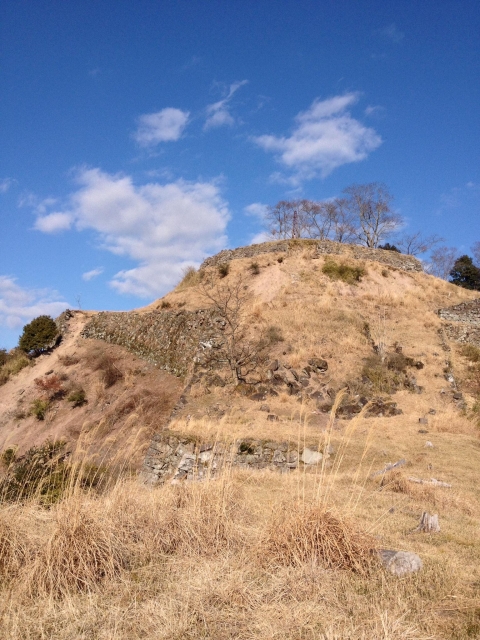 利神城