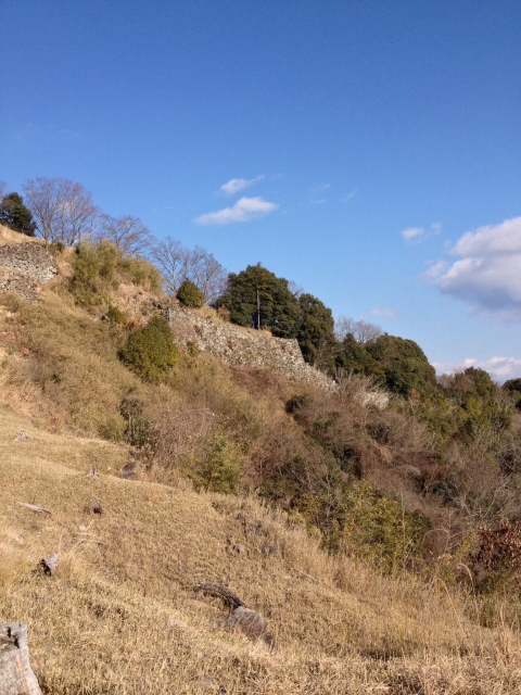 利神城