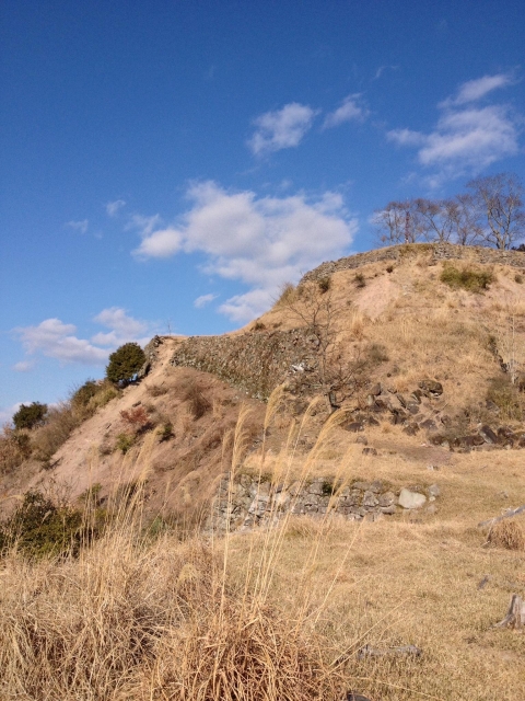 利神城