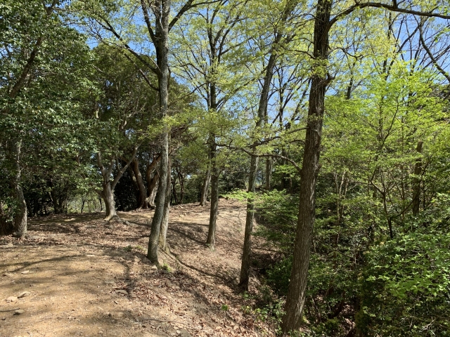 感状山城