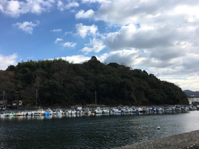 大嶋城、大島山城